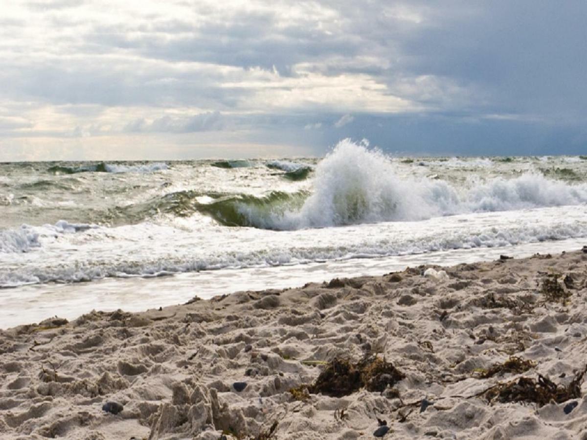 Tu HUs in Linde Eck Villa Zingst Buitenkant foto